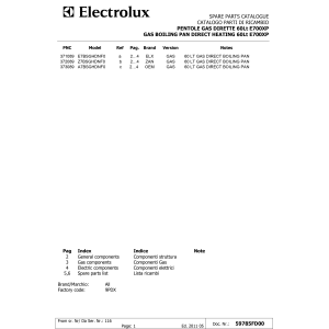 Gas Kochkessel 60 Liter, direkt beheizt, auf Unterbau