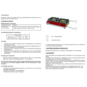 Gas Hockerkocher, 2 Brenner (2 x 5 kW)