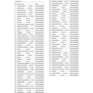 Planetenmixer, 20 Liter