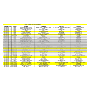 GAS LAVASTEINGRILL - GRILLFLÄCHE IN -O-